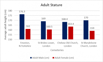 Figure 14: Average adult stature, Authors own. Table populated with data referenced in Appendix I.