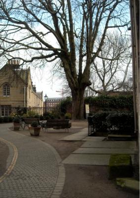 Figure 4 - This is the old churchyard of St. Saviours, a redundant church now known as DIG, an archaeology showcase and hands on centre for the public. (Credit: Author)