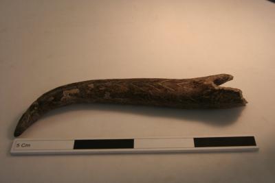 Figure 2 - Mesolithic antler tool. (Image Copyright Ben Elliott)