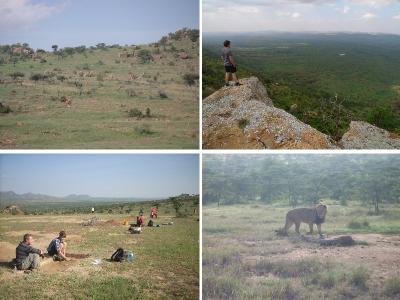 Figure 1 - Mila Sita: The Site (Top Left). The Ranch (Top Right). Digging at Mila sita (Bottom Left). Lions on Site! (Bottom Right). (Image copyright - Khadija McBain: Top Left & Right/Jacqui Mellows: Bottom Left & Right)
